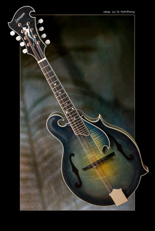 Sorensen mandolin clearance
